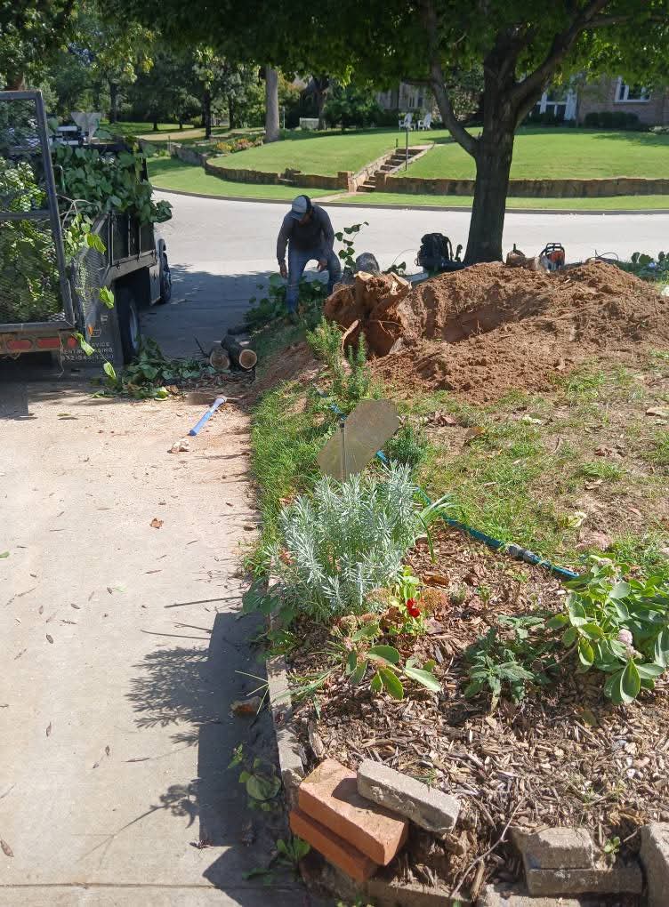 Tree Trimming Removal